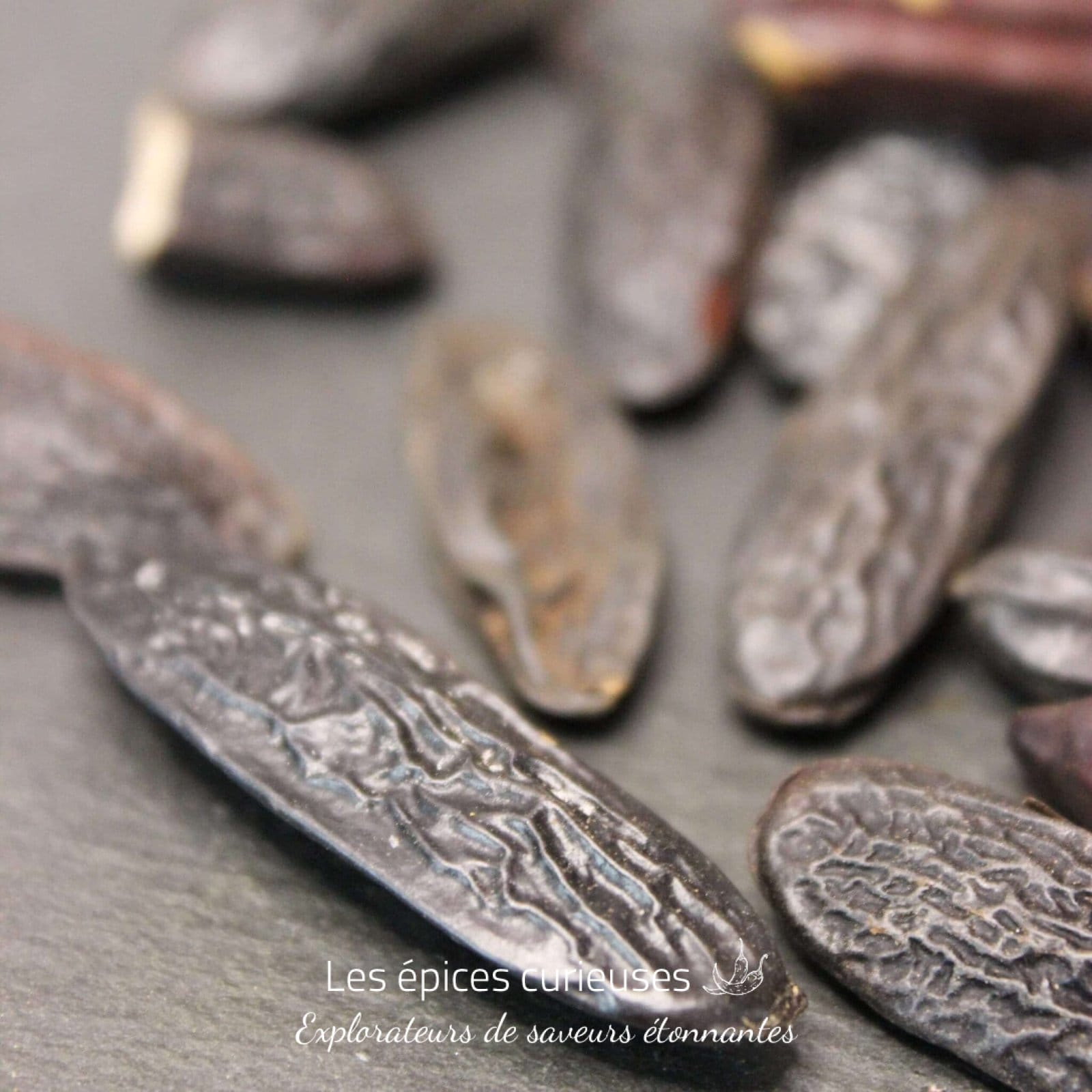 Fèves de tonka - Les épices curieuses