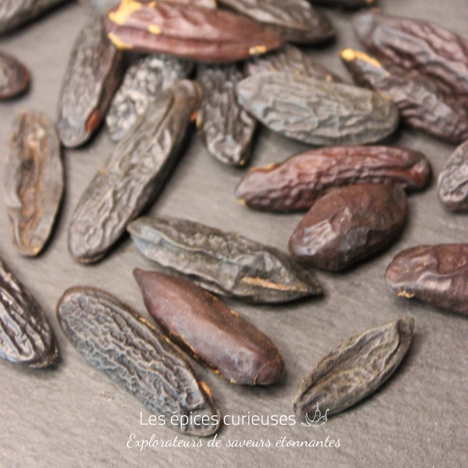 Fèves de tonka - Les épices curieuses