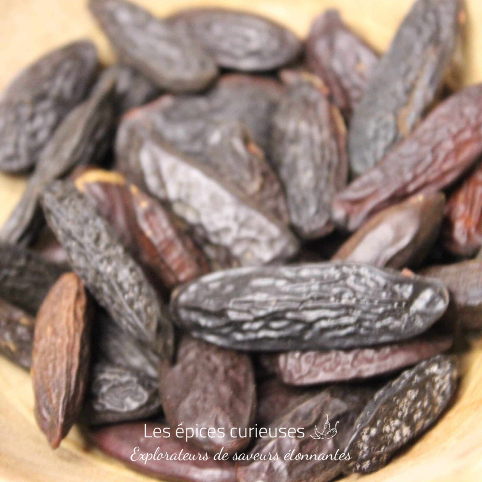 Fèves de tonka - Les épices curieuses