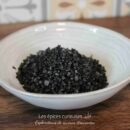 Fleur de sel Pyramide Noir - Les épices curieuses