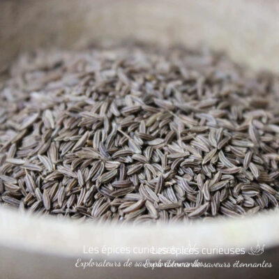 Graines de Carvi - Les épices curieuses