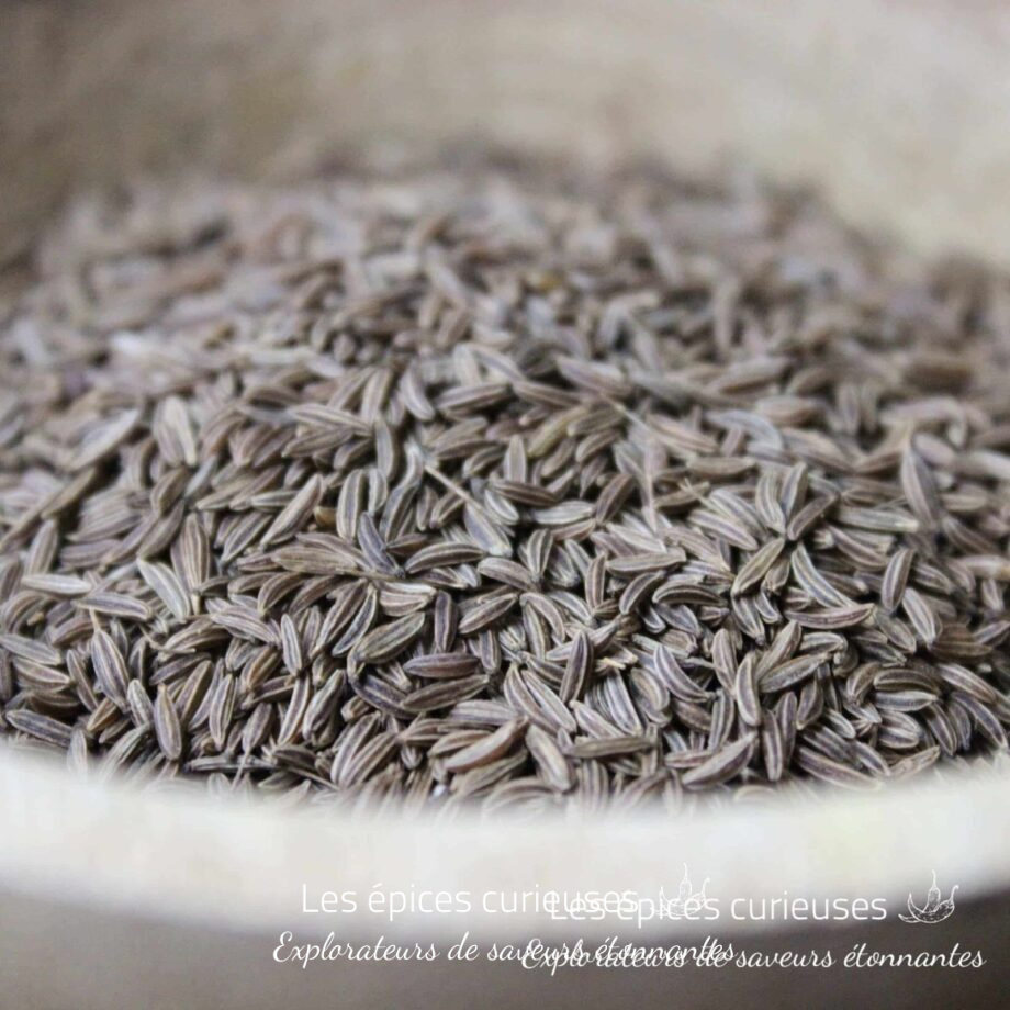 Graines de Carvi - Les épices curieuses