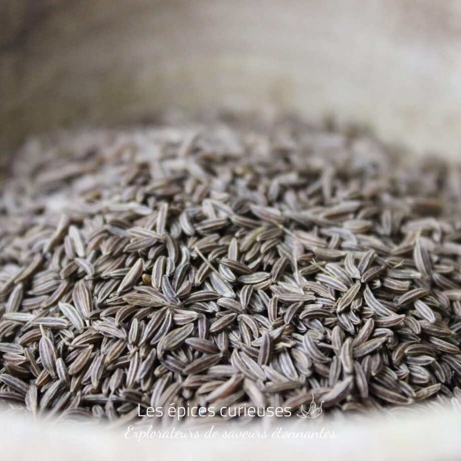 Graines de carvi - Les épices curieuses