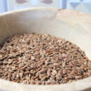 Graines de lin - Les épices curieuses