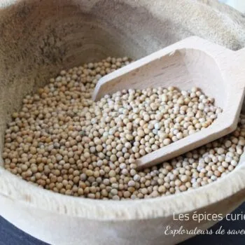 Graines de moutarde Jaune - Les épices curieuses