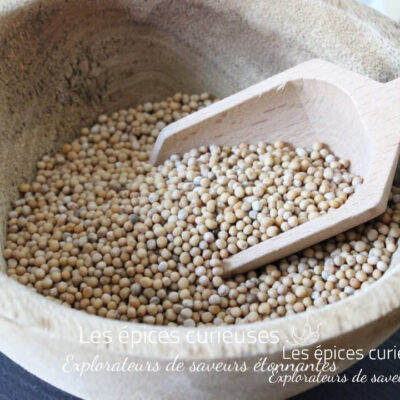 Graines de moutarde Jaune - Les épices curieuses