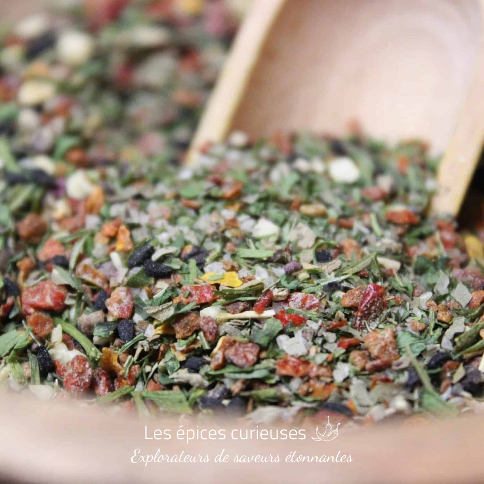 Assemblage Tomate Mozza - Les épices curieuses