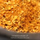 Assemblage à spéciales courges et potiron - Les épices curieuses