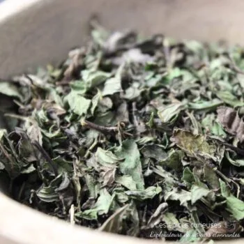 Menthe Poivrée - Les épices curieuses