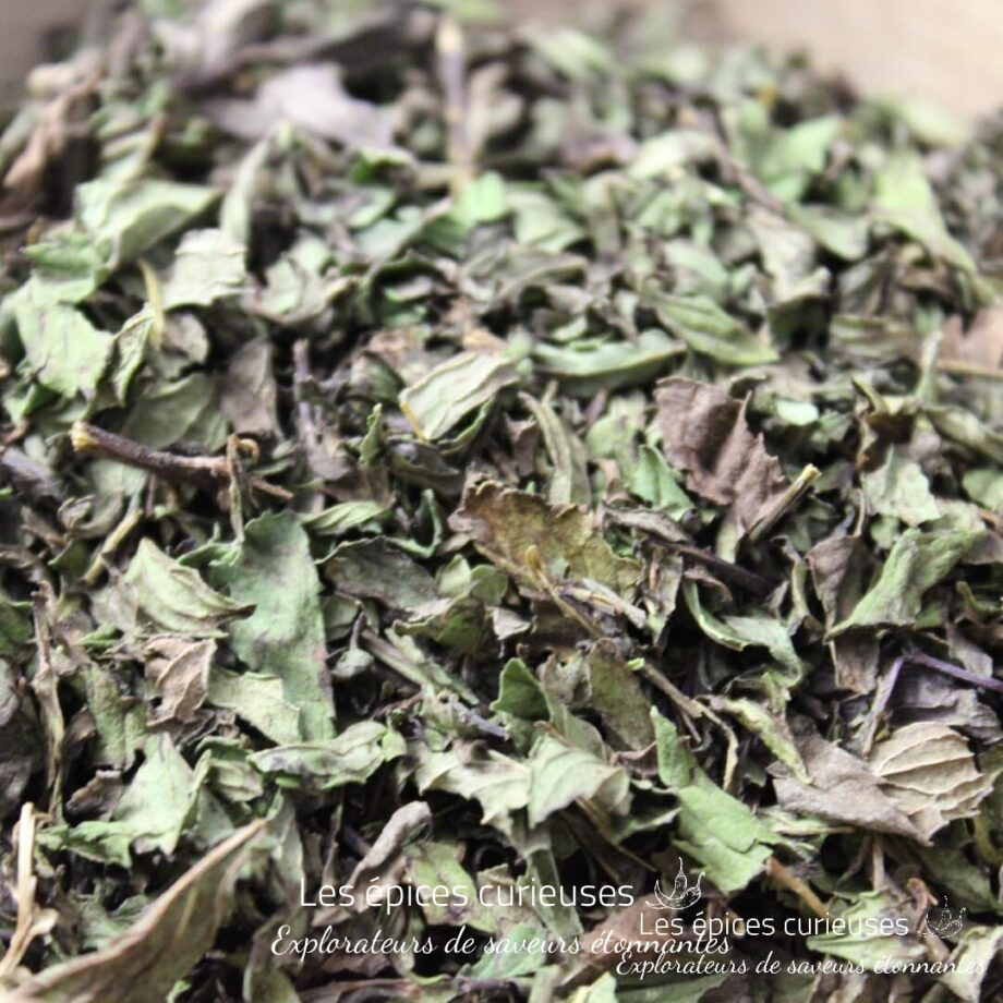 Menthe poivrée - Les épices curieuses