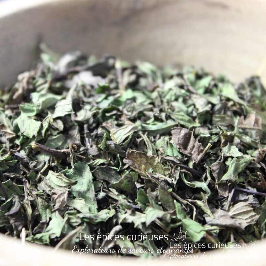 Menthe poivrée - Les épices curieuses