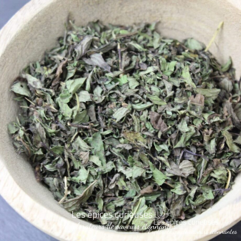 Menthe poivrée - Les épices curieuses