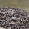 Eclats de Cacao Criollo (Nibs) - Les épices curieuses