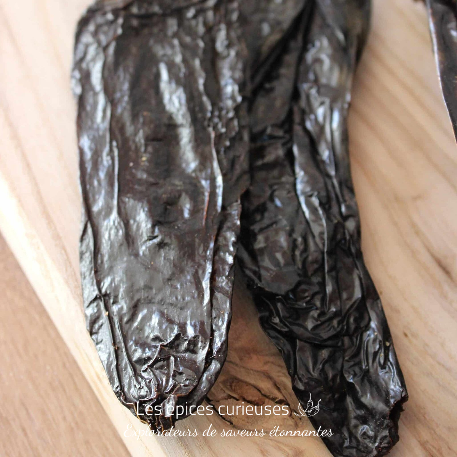 Pasilla - Les épcies curieuses