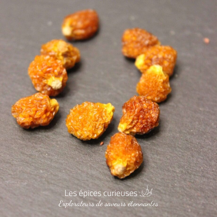 Physalis Madagascar - Les épices curieuses