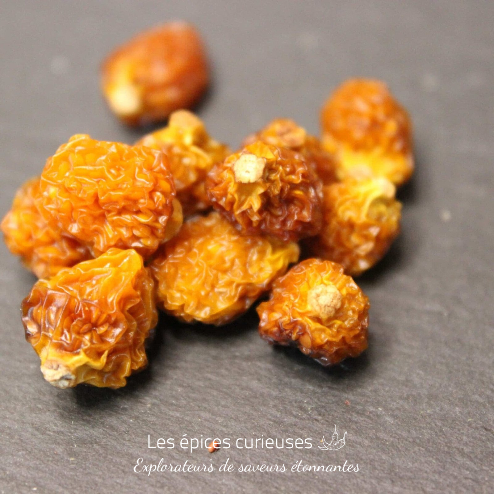 Physalis Madagascar - Les épices curieuses