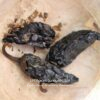 Piment chipotle entier - Les épices curieuses