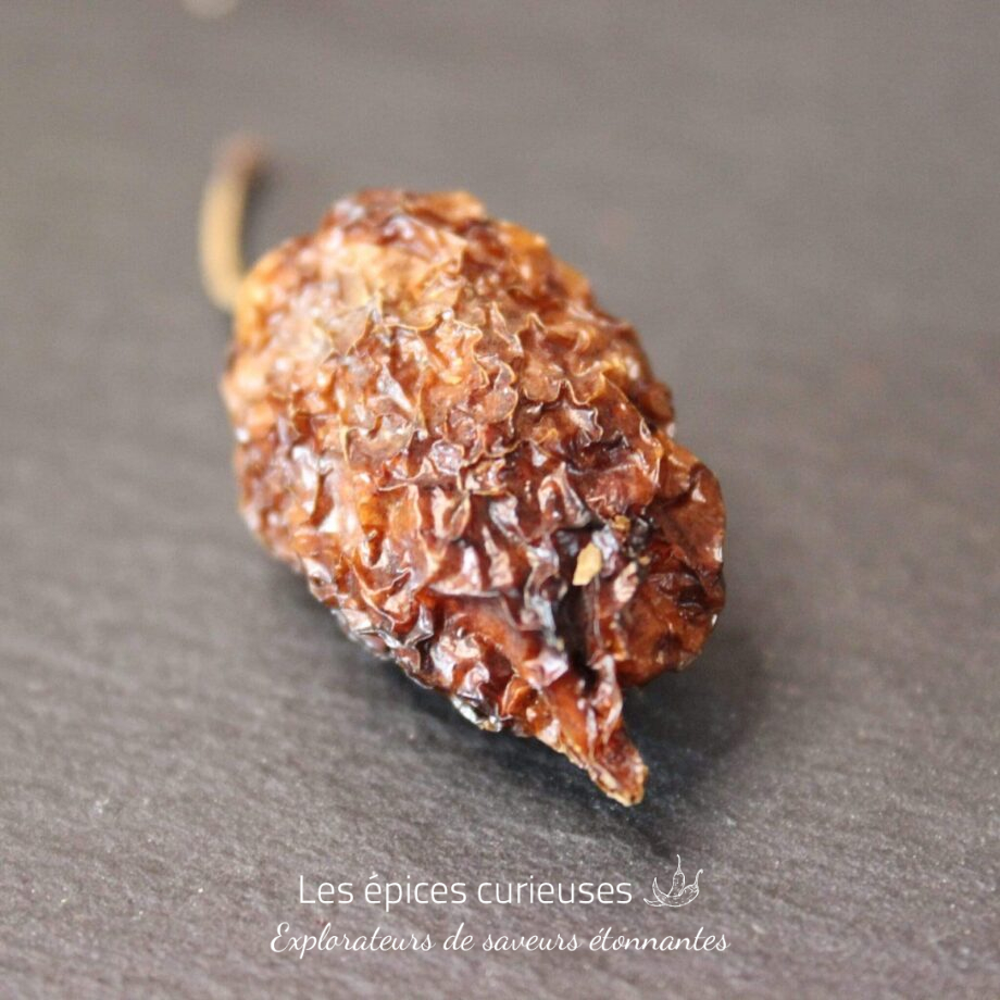 Piment Habanero - Les épices curieuses