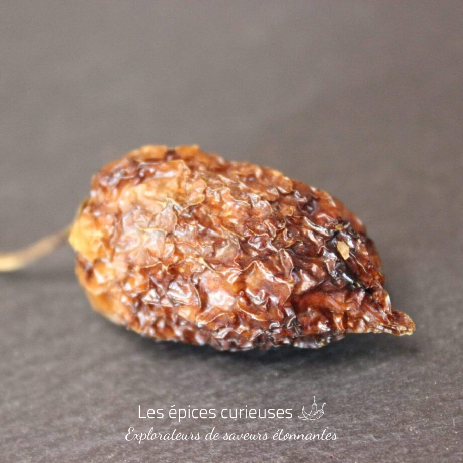 Piment Habanero - Les épices curieuses