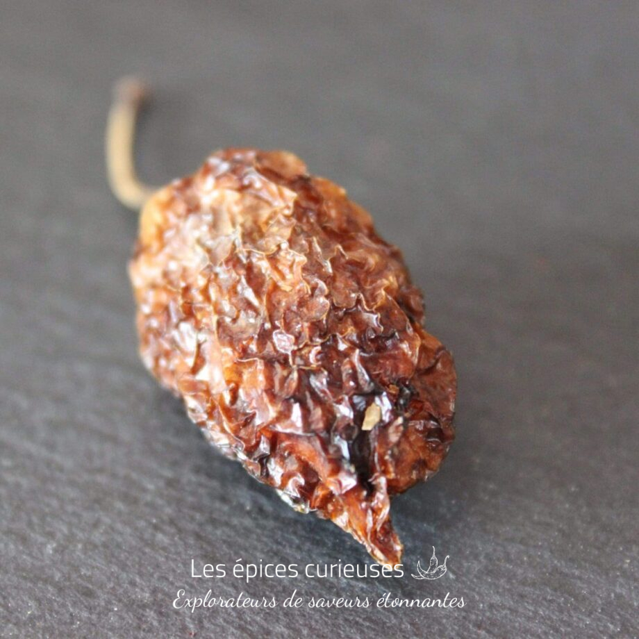 Piment Habanero - Les épices curieuses