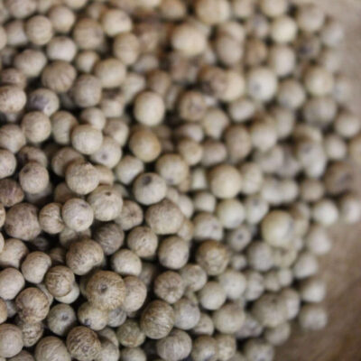 Poivre Kampot Blanc - PP - Les épices curieuses