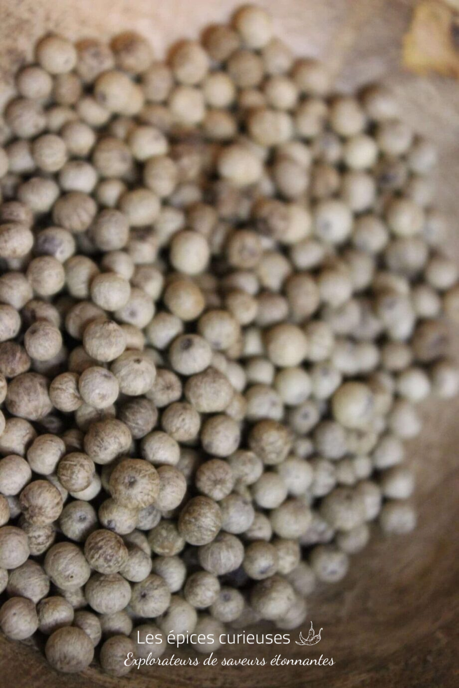 Poivre Kampot Blanc - PP - Les épices curieuses