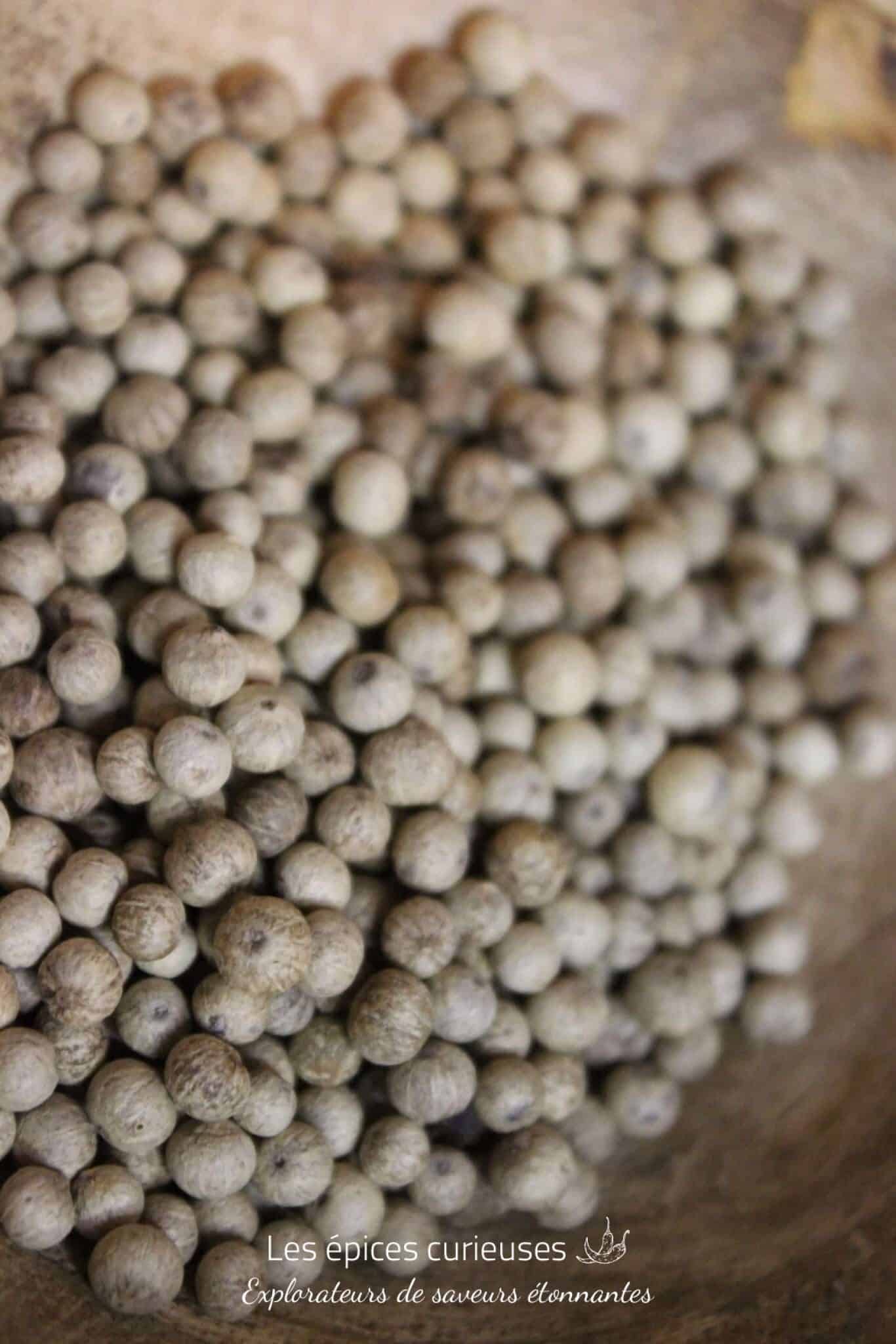 Poivre Kampot Blanc - PP - Les épices curieuses