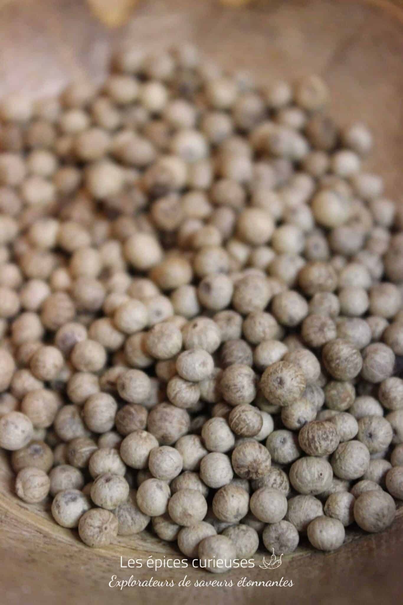 Poivre Kampot Blanc - PP - Les épices curieuses