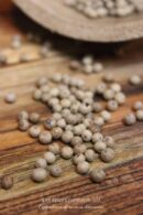 Poivre blanc de Kampot en grains, bio et artisanal, sur une table en bois.