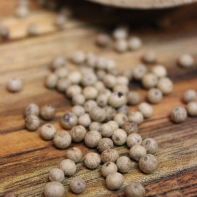 Poivre blanc de Kampot IGP Bio - Les épices curieuses