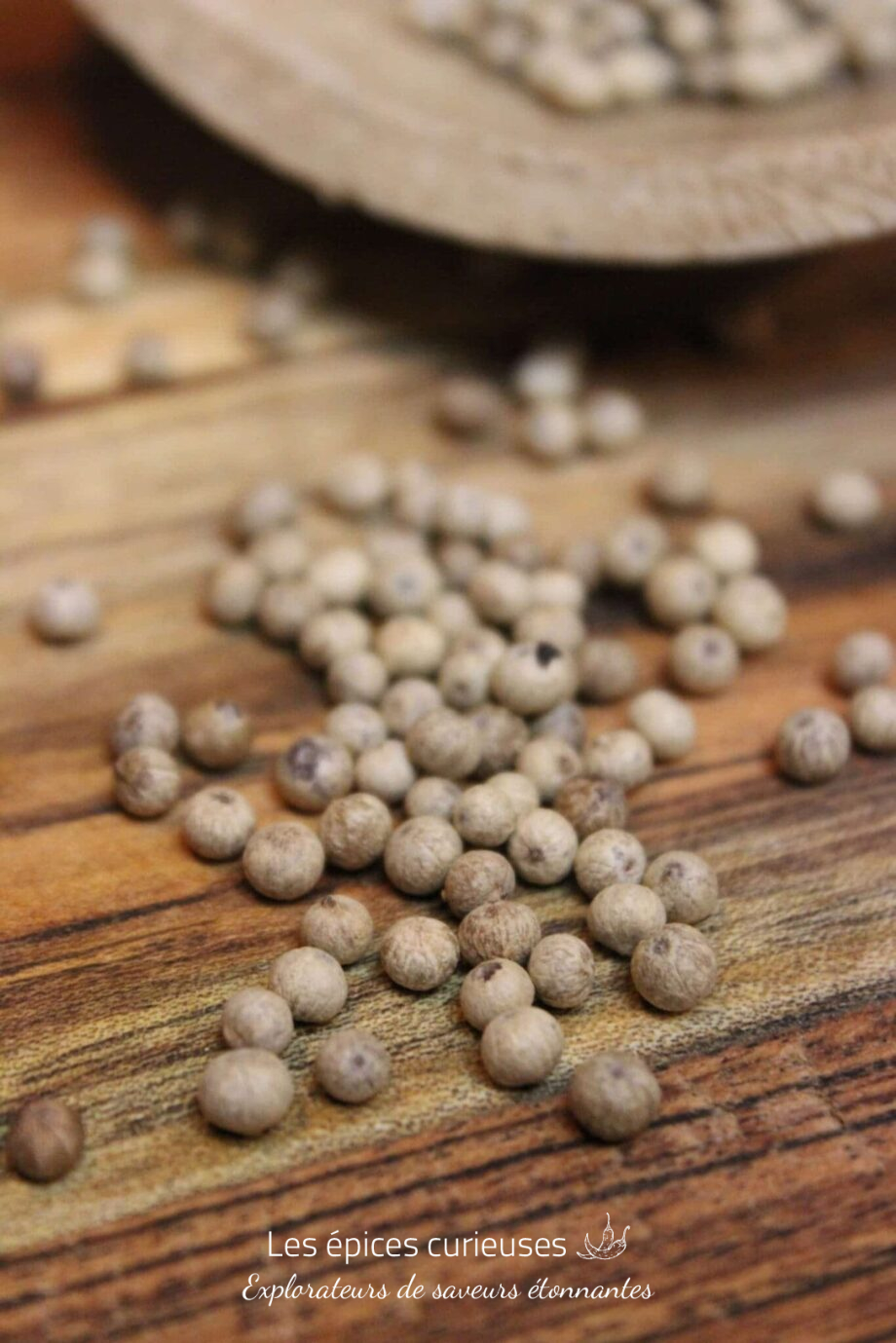 Poivre blanc de Kampot IGP Bio - Les épices curieuses