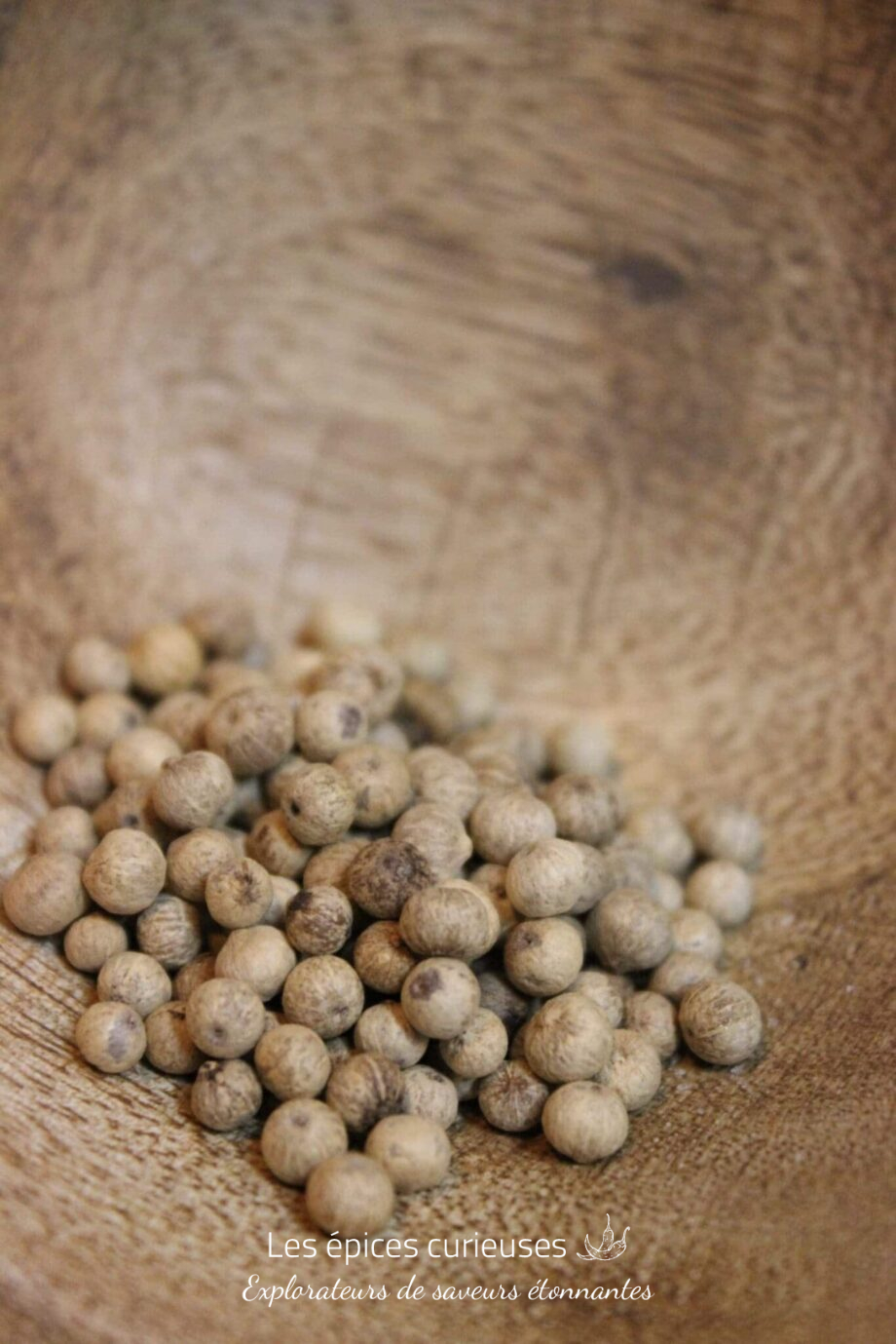 Poivre Kampot Blanc - PP - Les épices curieuses