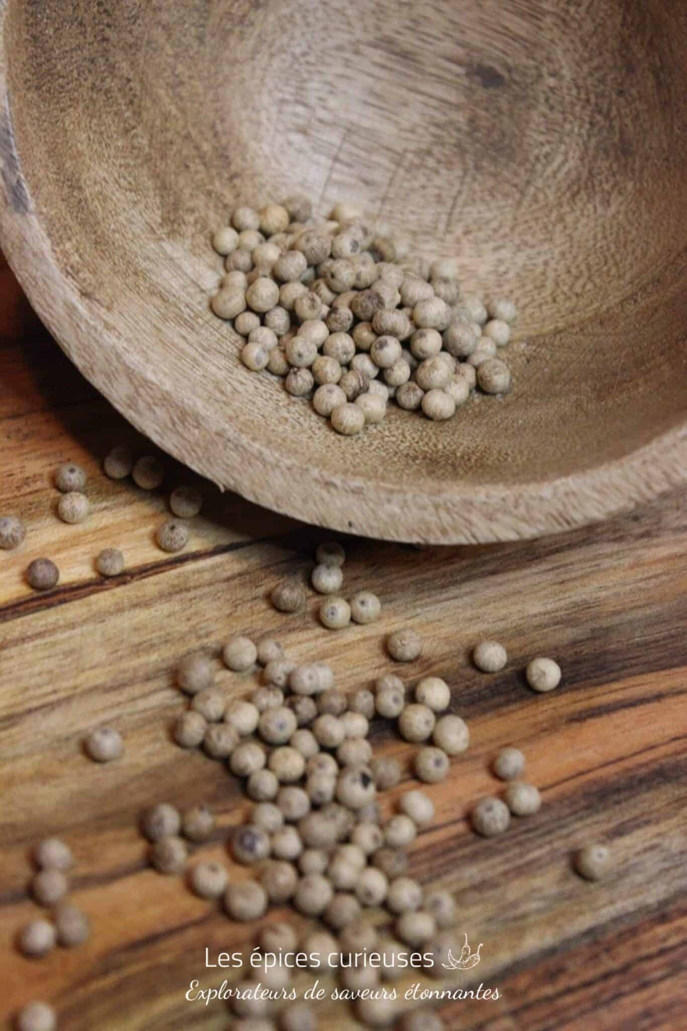 Poivre Kampot Blanc - PP - Les épices curieuses