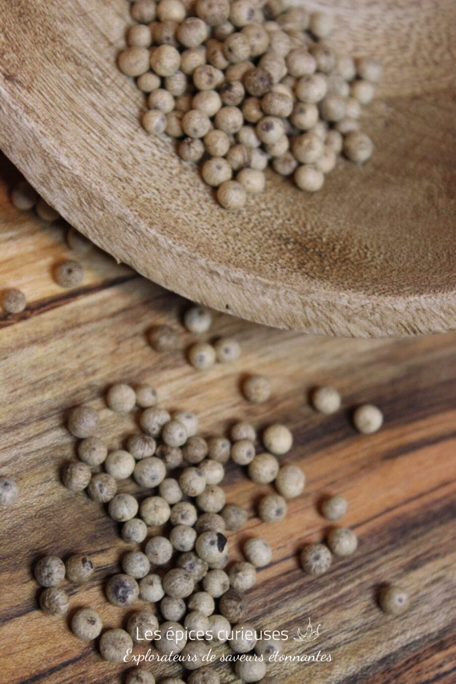 Poivre Kampot Blanc - PP - Les épices curieuses