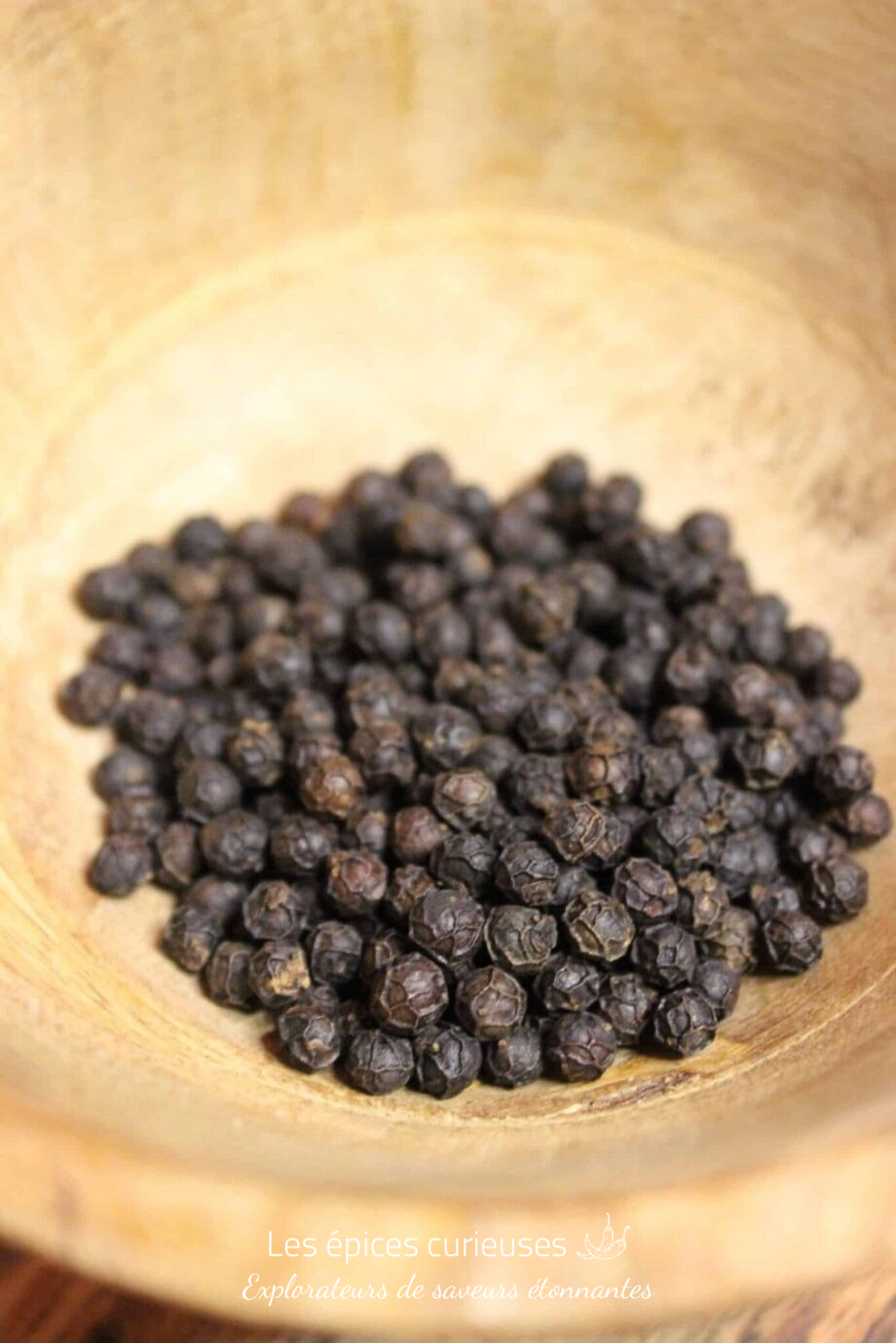 Poivre Kampot Noir -PP - Les épices curieuses