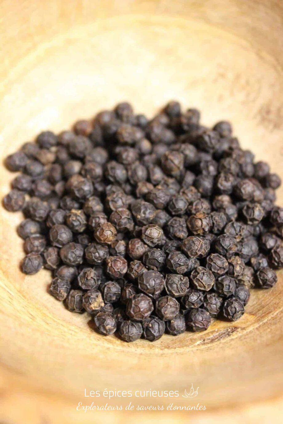 Poivre Kampot Noir -PP - Les épices curieuses