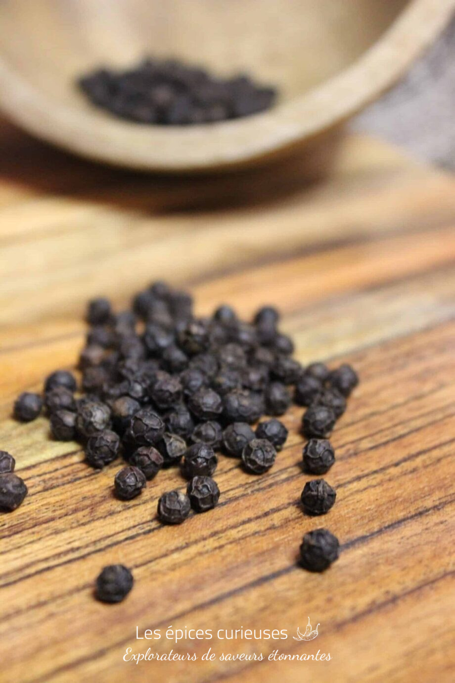 Poivre Kampot Noir -PP - Les épices curieuses