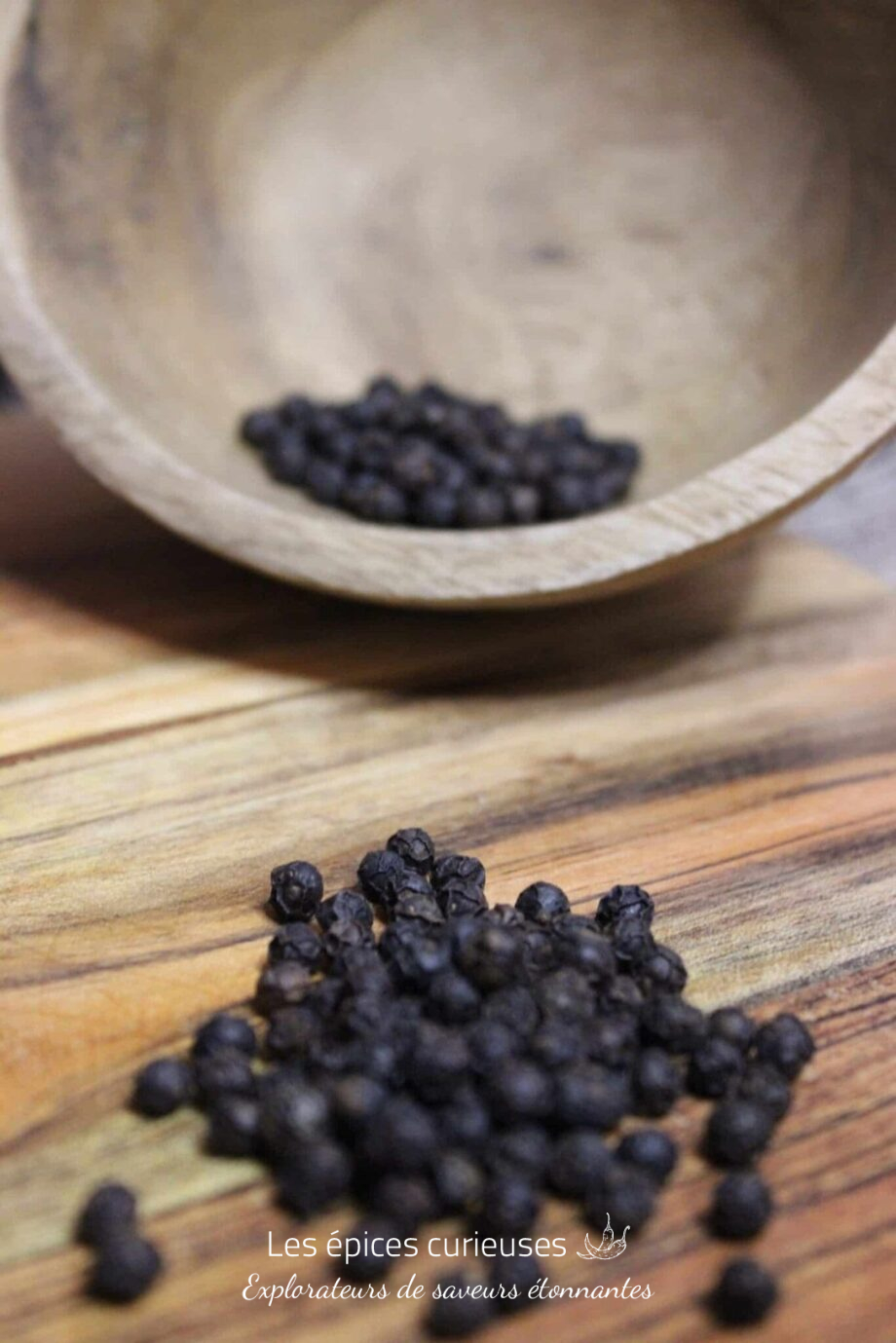 Poivre Kampot Noir -PP - Les épices curieuses