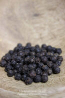 Poivre noir de Kampot IGP - BIO - Les épices curieuses