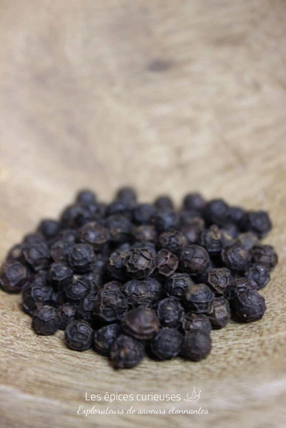 Poivre noir de Kampot IGP - BIO - Les épices curieuses
