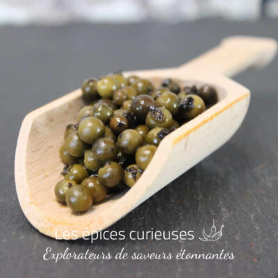 Poivre vert de Kampot en saumure - Les épices curieuses