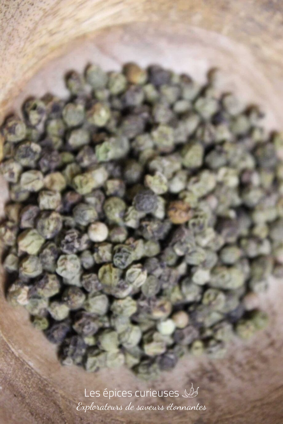Poivre Thekkady vert - PP - Les épices curieuses