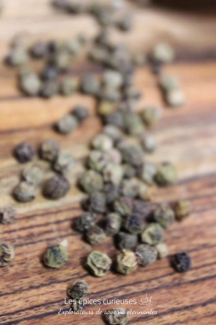 Poivre Thekkady vert - PP - Les épices curieuses