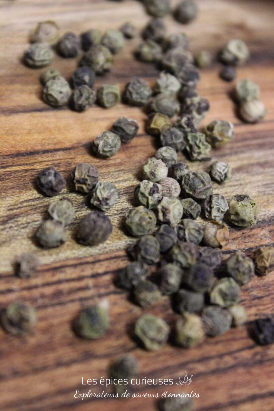 Poivre Thekkady vert - PP - Les épices curieuses