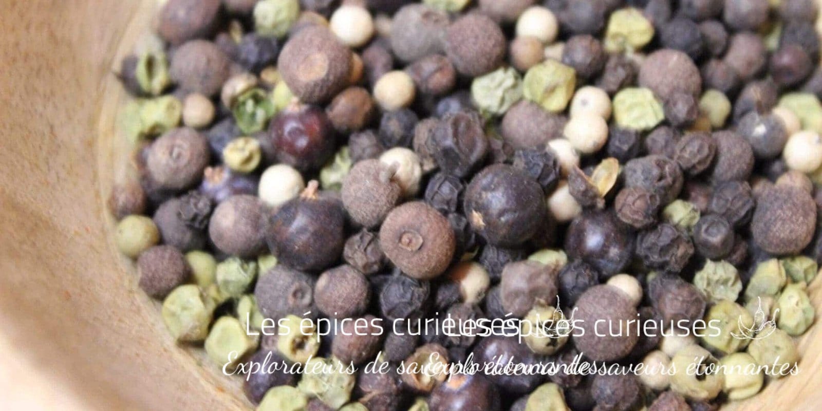 Le pep's poivre - Les épices curieuses