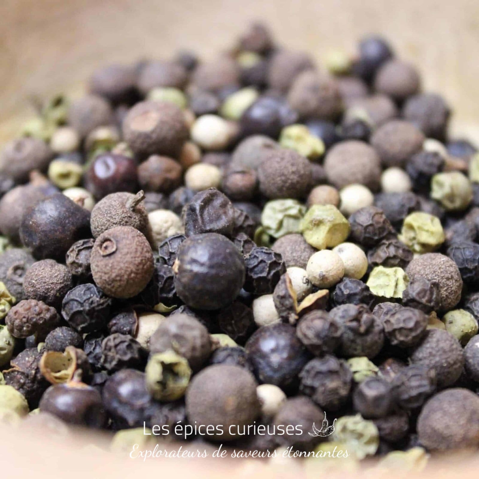 Le Pep's poivre - en grain - Les épices curieuses