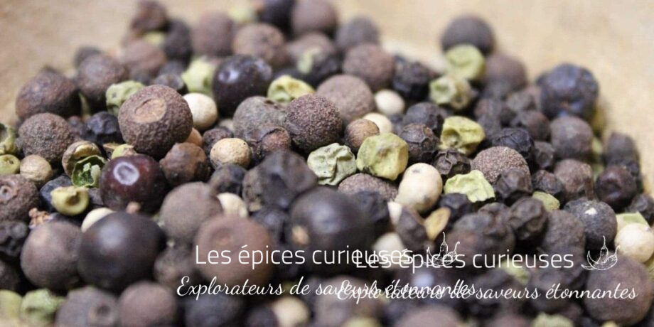 Le pep's poivre - Les épices curieuses