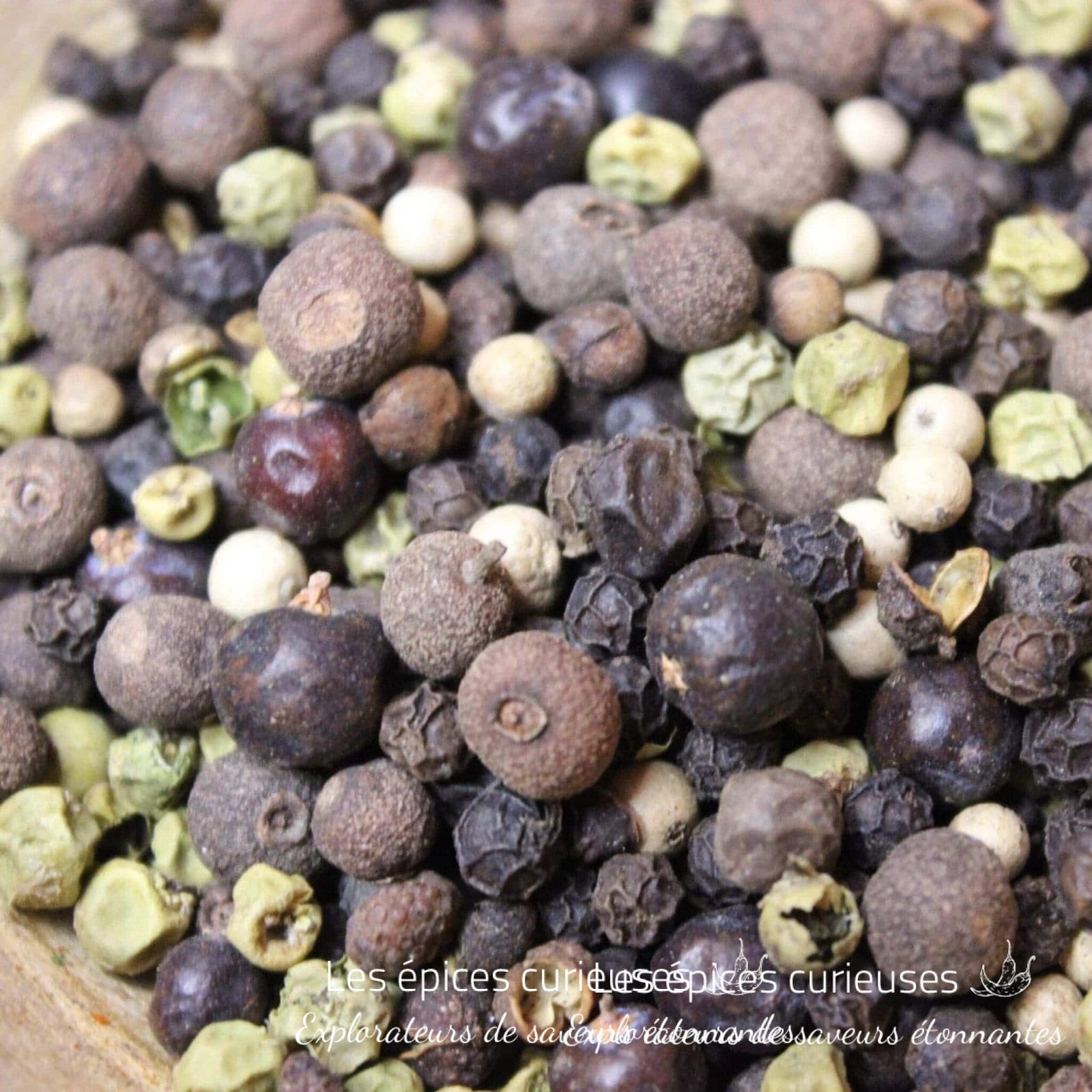 Le pep's poivre - Les épices curieuses