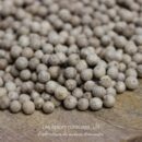 Poivre blanc Antalaha - Les épices curieuses