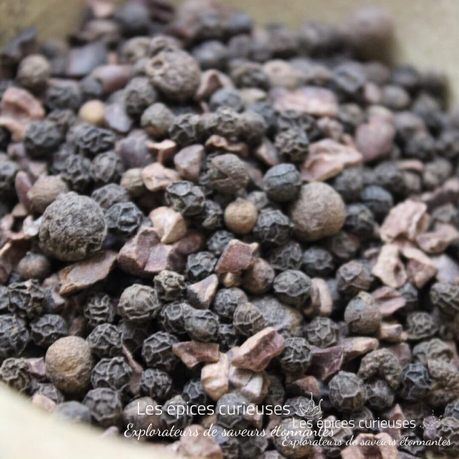 Poivres cacao - Les épices curieuses